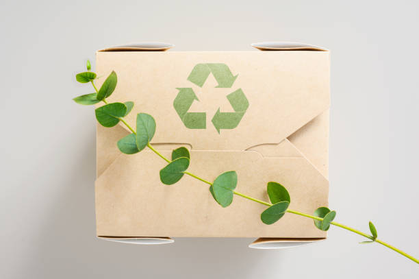 Eco Friendly