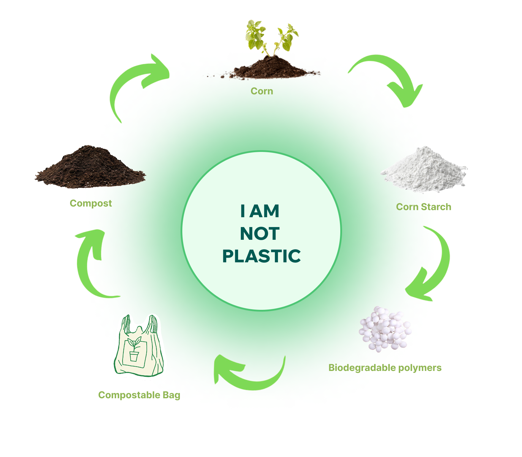 Life Cycle of Compostable Bag